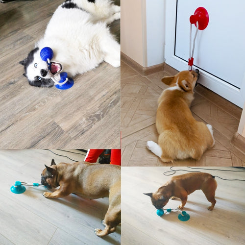 Brinquedo Mordedor Flex Ball para Cachorro